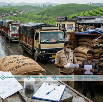 The Impact of India’s New SOP on Nepali Tea Rising Costs and Border Delays
